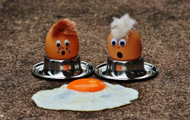 eggs, fried egg, grief, fun, cute, food, egg, egg yolk, fried eggs, protein, eggs, eggs, fried egg, grief, grief, egg, egg, egg, egg yolk, protein, protein, protein, protein, protein-1364869.jpg